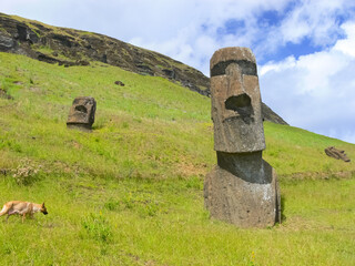 Statues of gods of Easter Island