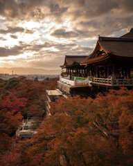京都府 清水寺 紅葉 夕景