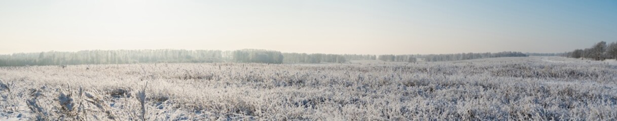 Snow covered winter field with trees. Winter landscape. Beautiful winter nature. Panoramic landscape.