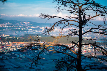 Da lat city view from above. 