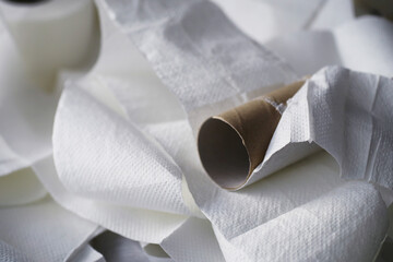 Toilet paper in a roll. Snow-white soft three-layer toilet paper. Lack of hygiene products. Primary protection and disinfection.