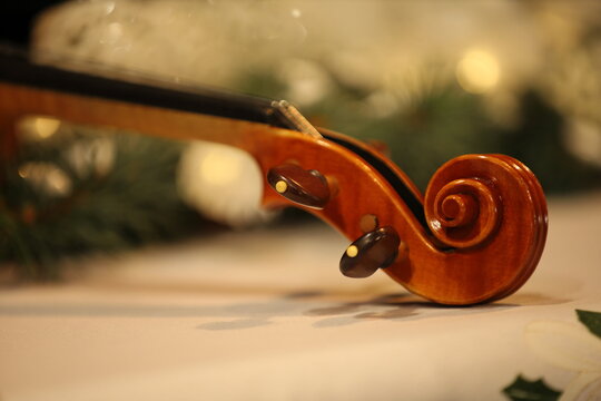 violin , macro photo
