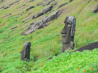 Statues of gods of Easter Island