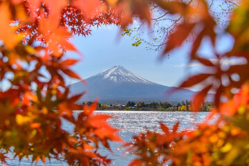 beautiful view of Fuji san mountain with colorful red maple leaves and winter morning fog in autumn season at lake Kawaguchiko, best places in Japan, travel and landscape nature concept