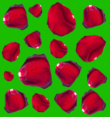 Red rose petals isolated on a green