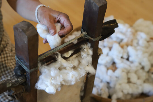 Closeup of woman's hand with old traditional cotton ginning tool.