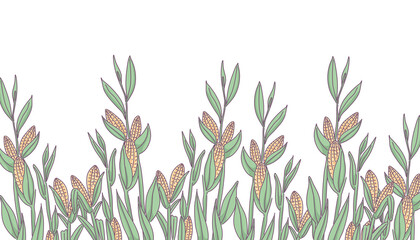 Fototapeta na wymiar Corn garden landscape illustration 