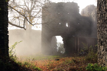 old castle in the fog