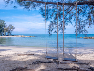 Wooden swing hang on the tree at the beach for relaxing.