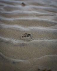 Fototapeta na wymiar rings on the sand