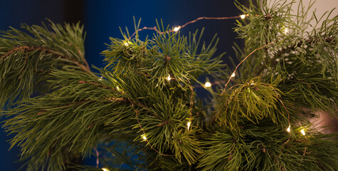 Fir branches are decorated with a garland of light bulbs. Green branches. Holiday concept Christmas, New Year. Selective focus.