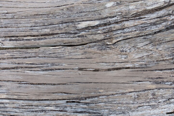 old wood texture