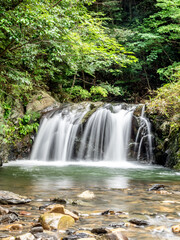 大自然に綺麗な滝