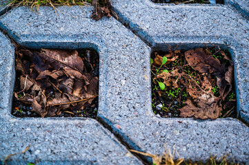 A top view shot of checkered tiles of a garden path
