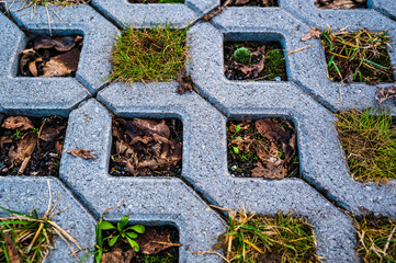 A top view shot of checkered tiles of a garden path