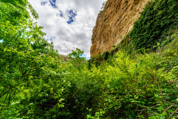Fototapeta na wymiar Green landscape with walking path and high rock wall. 