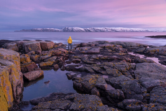 Man In Bright Yellow Raincoat Stands On The Rocky Shore Of  Arctic Ocean.Pink Sunrise On Barents Sea. Landscape With Lone Dreamer Man Stands In Front Of Sea. Teriberka, Kola Peninsula, North Of Russia