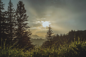 sunset in the mountains with forest