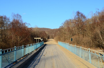 bridge in winter