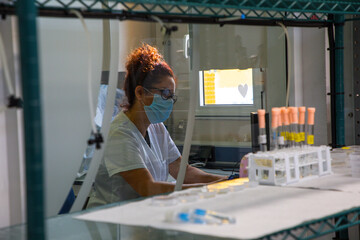 Obraz premium female scientist working in a laboratory for the development of the coronavirus vaccine