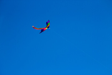 Naklejka na ściany i meble Colorful flying kite fly in the blue sky