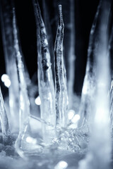 illuminated winter icicles in snow at dark night