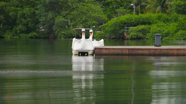 pedal boat at rodrigo de freitas lagoon in Rio de Janeiro Brazil.