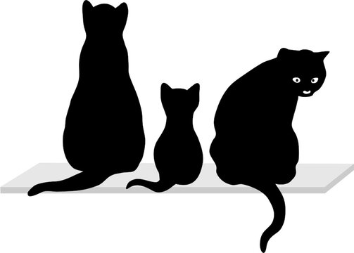 Petit Chat Images Browse 147 Stock Photos Vectors And Video Adobe Stock