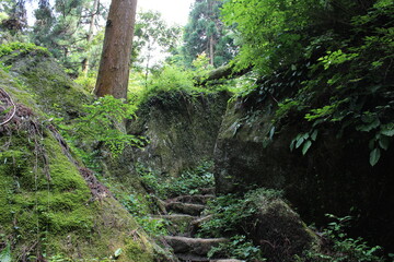石老山　第三紀地層の礫岩が全山に分布する