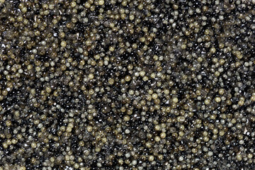 Black Caviar background.  Natural sturgeon black caviar close-up. Delicatessen. Texture of expensive luxury caviar. 
