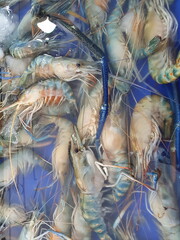 A freshwater prawn whose body is not bright in color and the claws have fallen off the body (the shrimp are not fresh) sold at the market. if Soaked in water for a long time not commonly used for cook