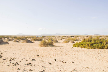 Parque natural de dunas de Corralejo, Fuerteventura