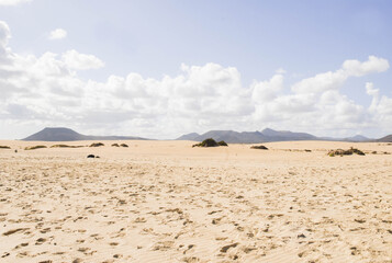 Fototapeta na wymiar Parque natural de dunas de Corralejo, Fuerteventura