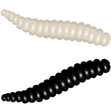 Maggots on a white background. Black and white worms. Vector illustration