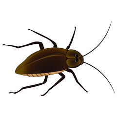 Mustachioed cockroach on a white background. Vector illustration
