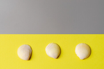 Flat lay in a trendy 2021 new colors. Illuminating Yellow and Ultimate Gray.