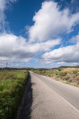 Fototapeta na wymiar rural field, Sineu, Mallorca, Balearic Islands, Spain