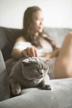 An Asian woman sitting on a grey sofa watching television strokes a British Short Hair cat sitting beside her in a house in Edinburgh, Scotland, United Kingdom