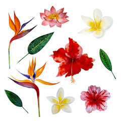 Watercolor tropical templates