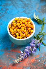 bottom view sea buckthorn in bowl purple flower branch on blue background