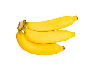 isolated of three golden banana in group a vivid yellow color sweet fruit for food and dessert ingredient with clipping path on white background