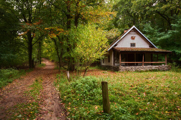 Carpathian forest in autumn seasone, Bratislava, Slovakia, Europe