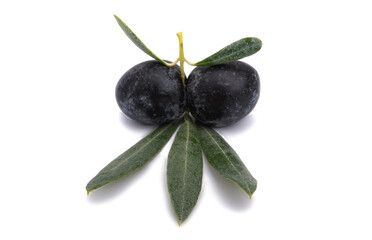branch with olives isolated