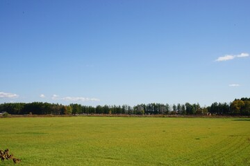 Green meadow in Obihiro, Hokkaido prefecture, Japan - 牧草地 北海道 帯広市
