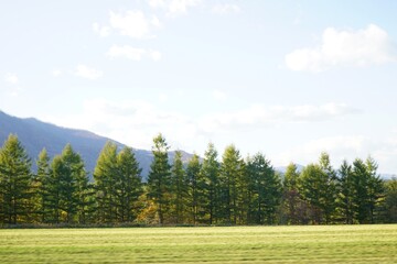 Meadow and Forest on mountain background in Hokkaido, Japan - 牧草地 北海道 帯広市 日本