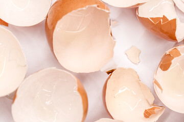 broken empty eggshells on white background