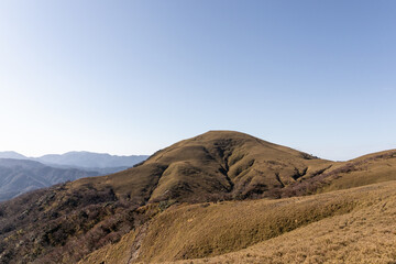 Fototapeta na wymiar 鈴鹿セブンマウンテンの竜ヶ岳に広がる笹原のある１２月の風景