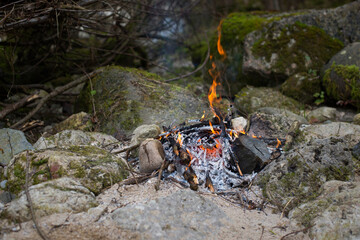 Camp in the open air with fire