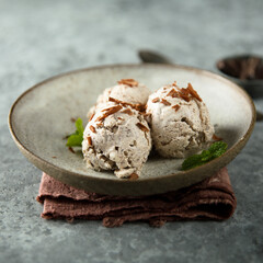 Homemade chocolate ice cream with fresh mint
