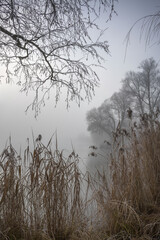 Nebel